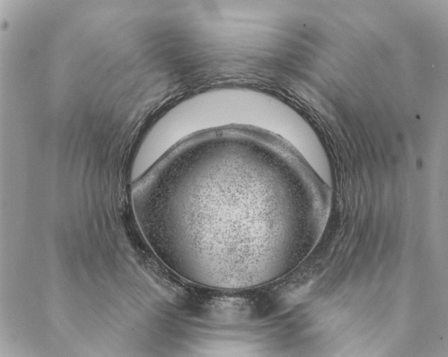 X0000088900748200706291504