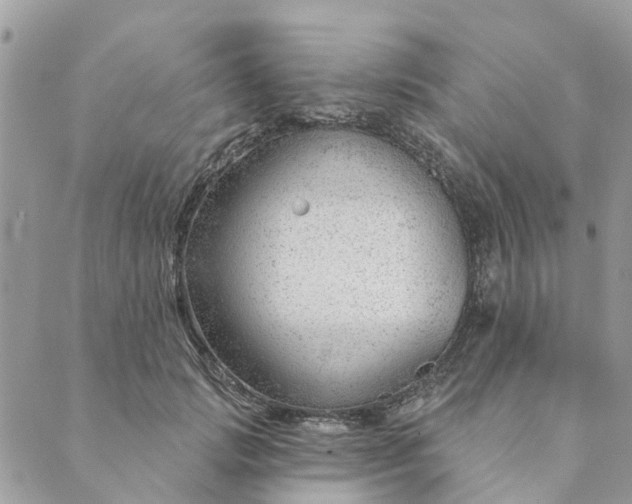 X0000088900749200706291504