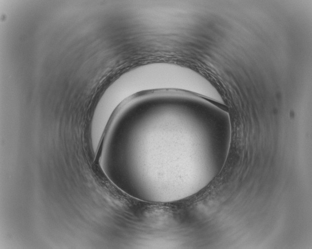 X0000088900750200706291504