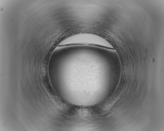 X0000088900751200706291504