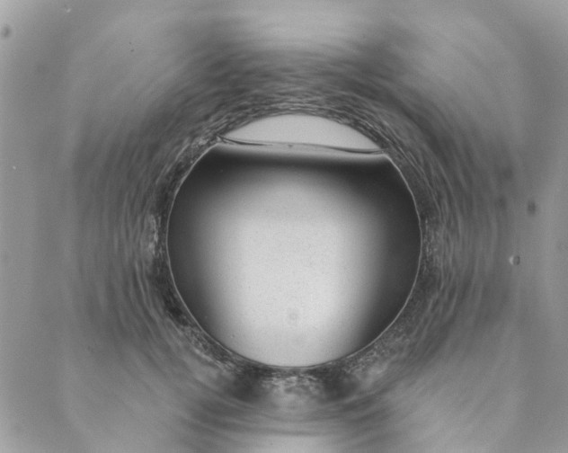 X0000088900752200706291504