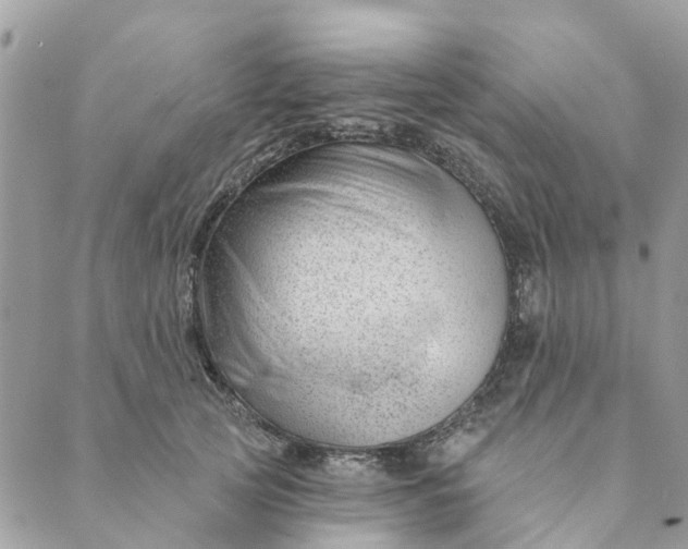 X0000088900753200706291504