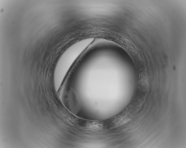 X0000088900754200706291504