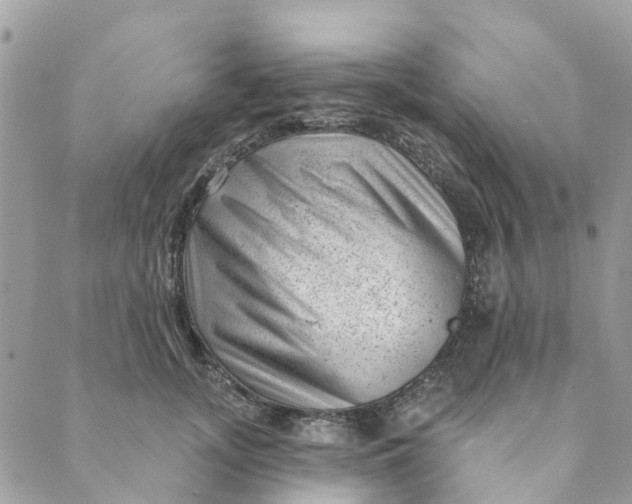 X0000088900755200706291504