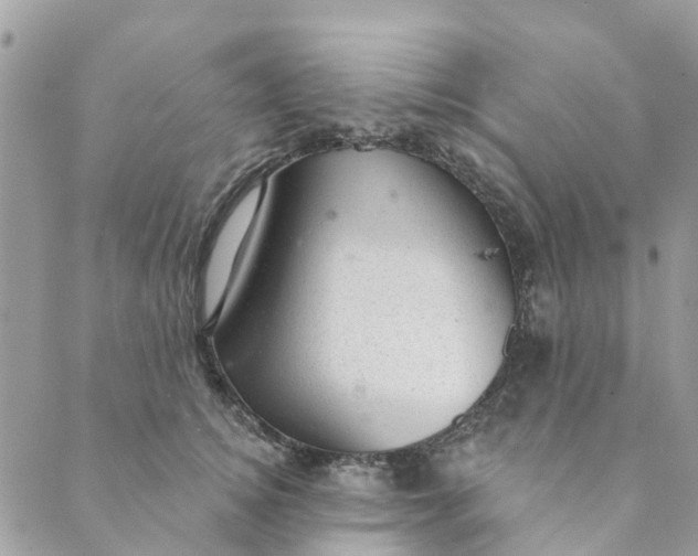 X0000088900756200706291504