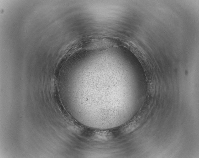 X0000088900757200706291504