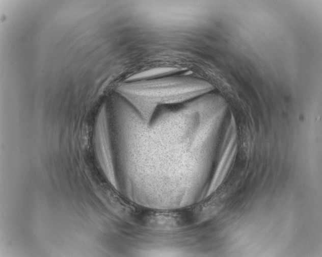 X0000088900758200706291504