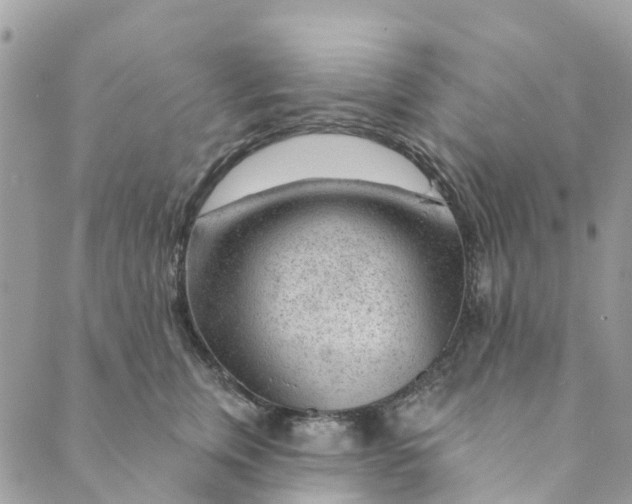 X0000088900759200706291504