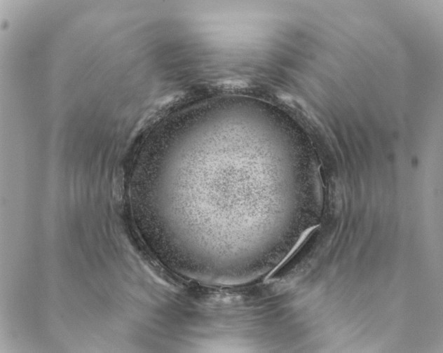 X0000088900760200706291504