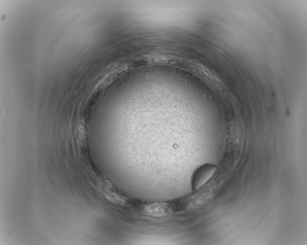 X0000088900761200706291504