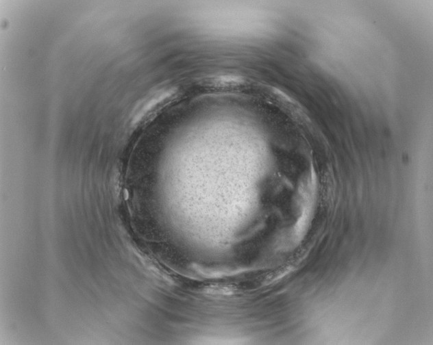 X0000088900762200706291504