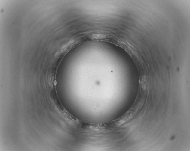 X0000088900763200706291504