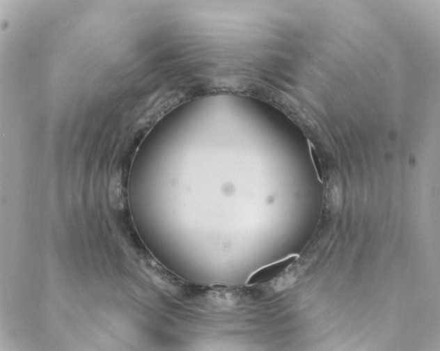 X0000088900764200706291504