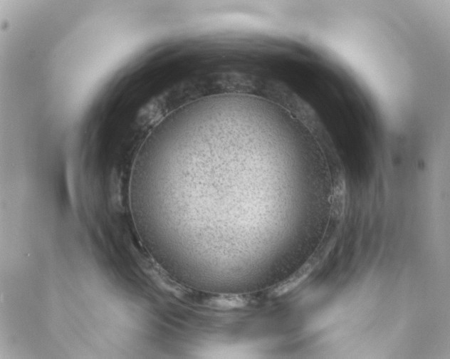 X0000088900765200706291504