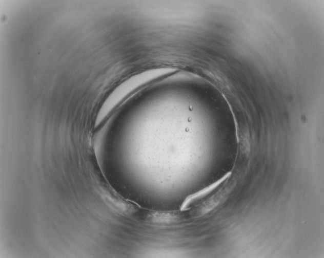 X0000088900766200706291504