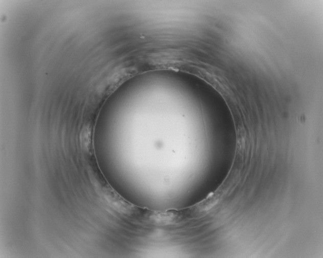 X0000088900767200706291504