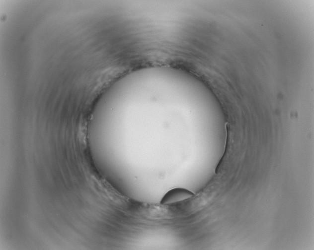 X0000088900768200706291504