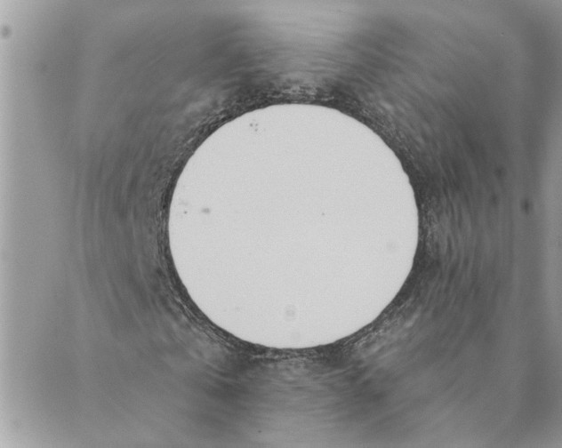 X0000088900769200706291504