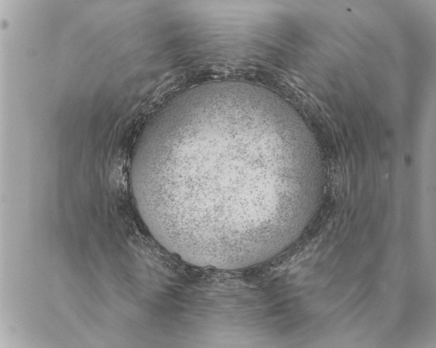 X0000088900770200706291504