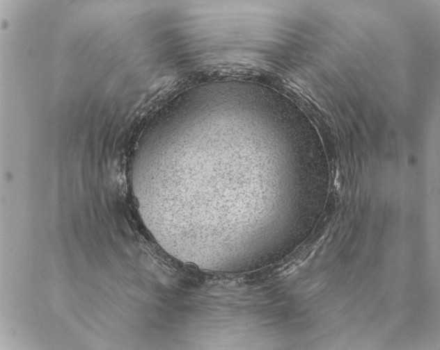 X0000088900771200706291504