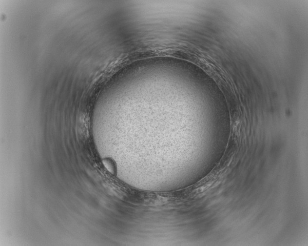 X0000088900772200706291504