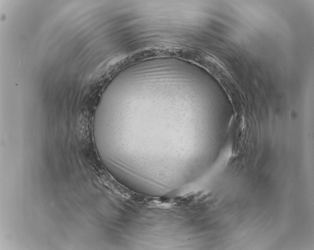 X0000088900773200706291504