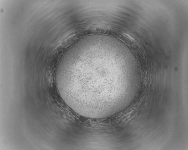 X0000088900774200706291503