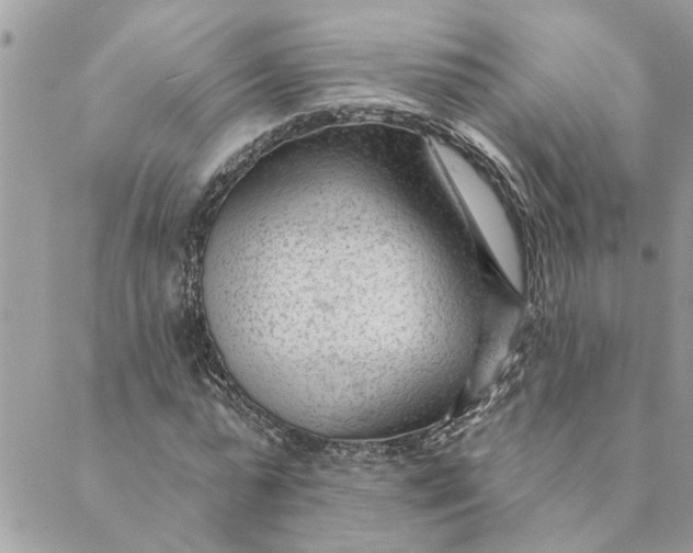 X0000088900775200706291503