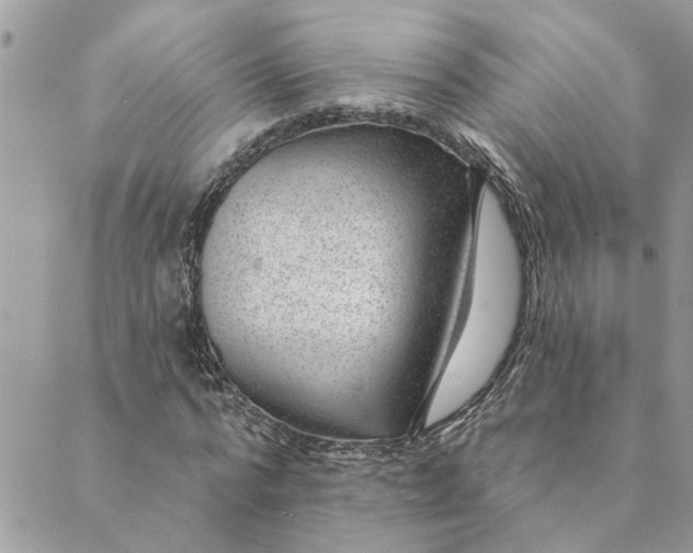 X0000088900776200706291503