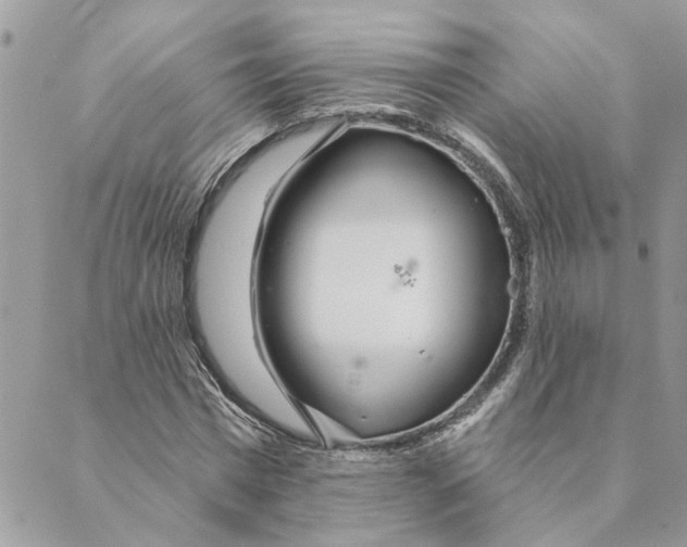 X0000088900777200706291503