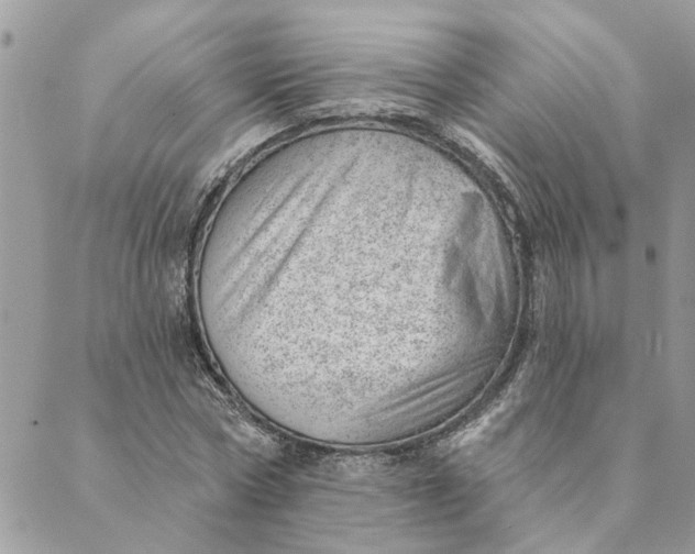 X0000088900778200706291503