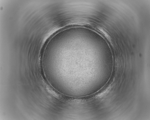 X0000088900779200706291503