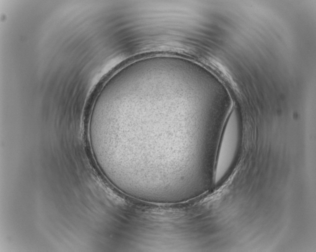 X0000088900780200706291503