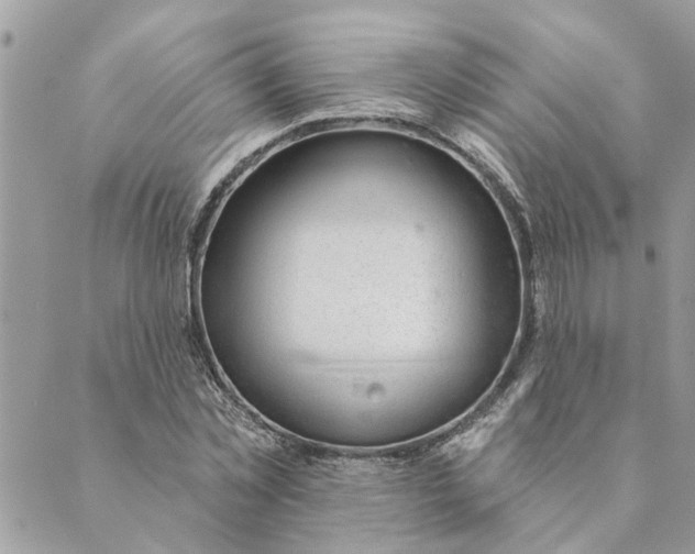 X0000088900781200706291503