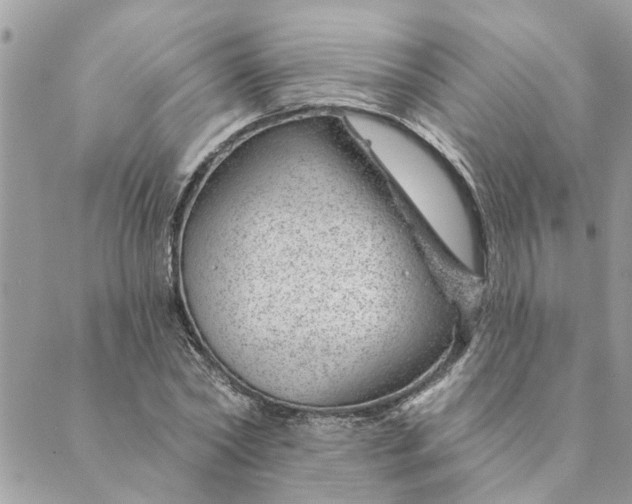 X0000088900782200706291503