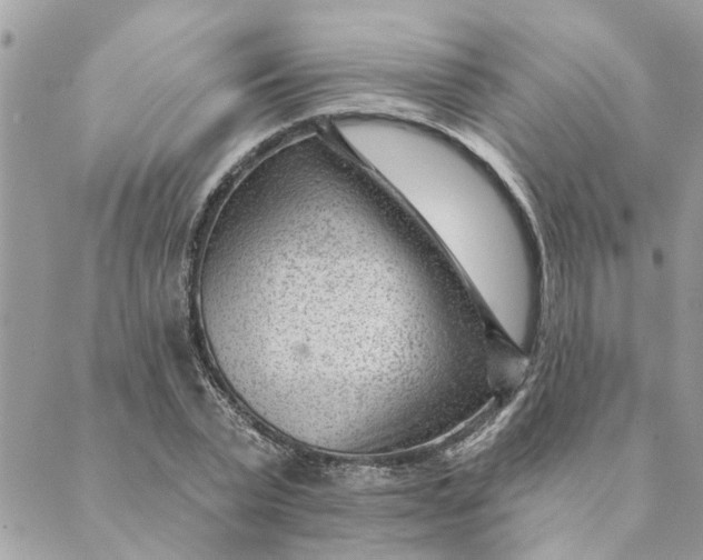 X0000088900783200706291503