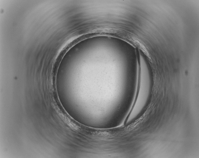 X0000088900784200706291503