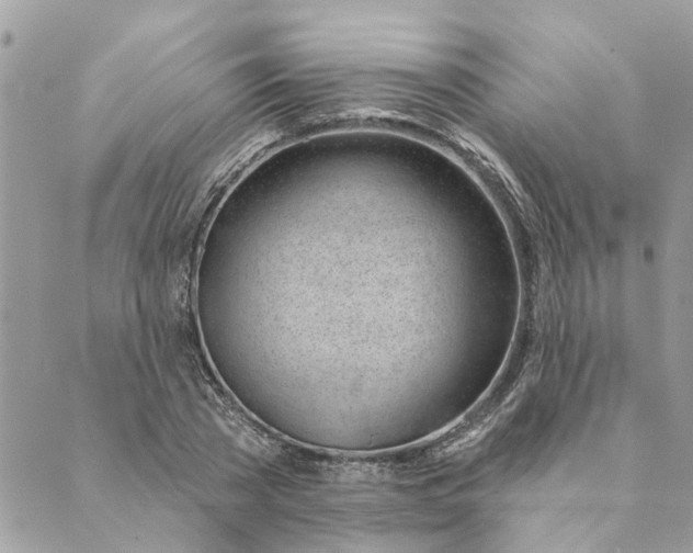 X0000088900785200706291503