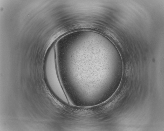 X0000088900786200706291503