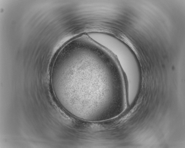 X0000088900787200706291503