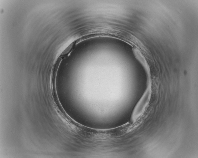 X0000088900788200706291503