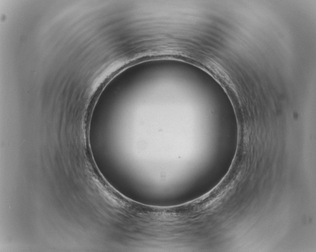 X0000088900789200706291503