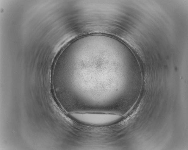 X0000088900790200706291503