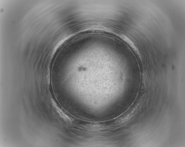 X0000088900791200706291503