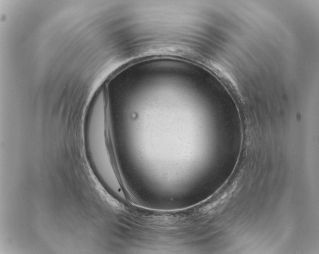 X0000088900792200706291503