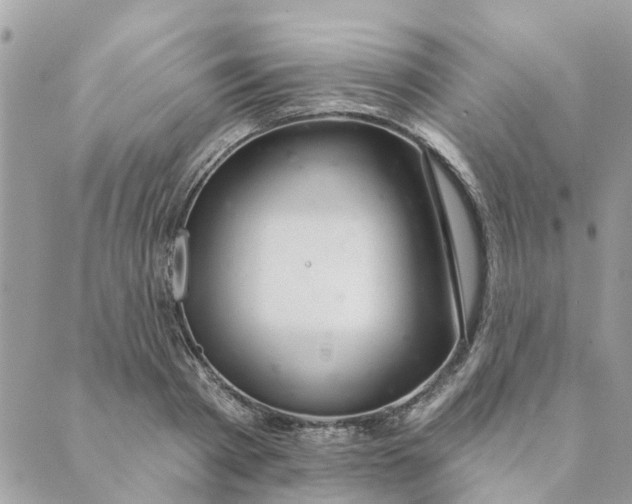 X0000088900793200706291503