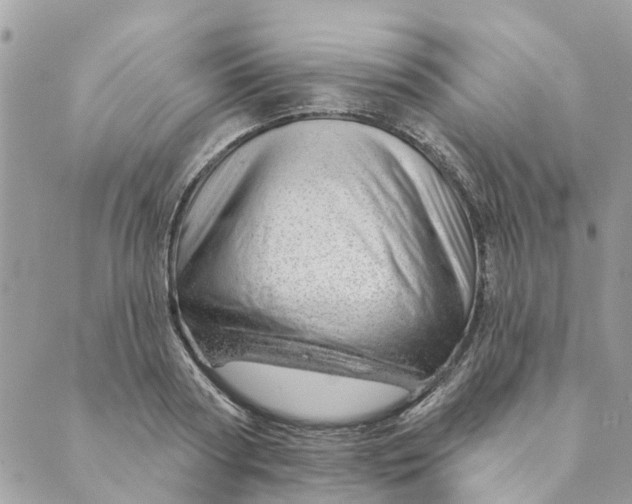 X0000088900794200706291503