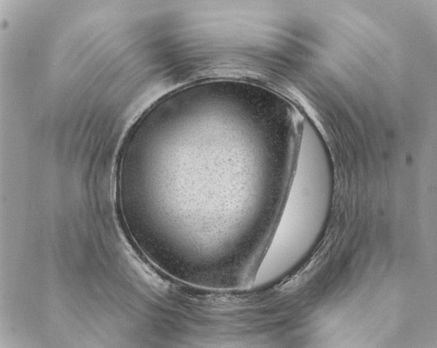 X0000088900795200706291503