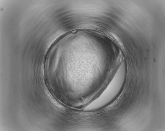 X0000088900796200706291503