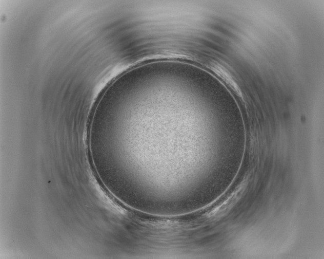 X0000088900797200706291503